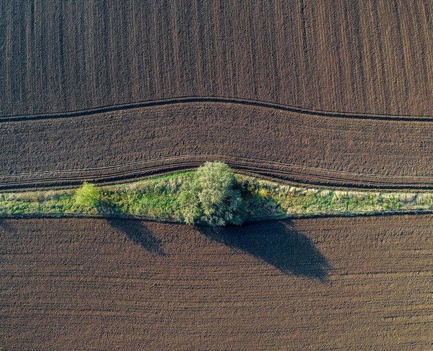 Zrównoważone rolnictwo a wpływ na środowisko naturalne: klucz do przyszłości produkcji żywności