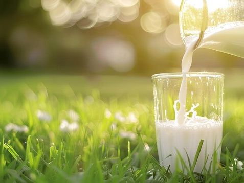 Alternatywne źródła mleka a zrównoważone rolnictwo: przyszłość produkcji mleczarskiej